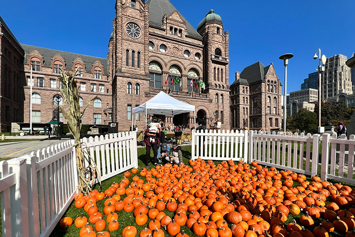pumpkins scattered on the ground in front of the Legislative Building