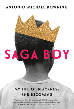 Saga Boy book cover