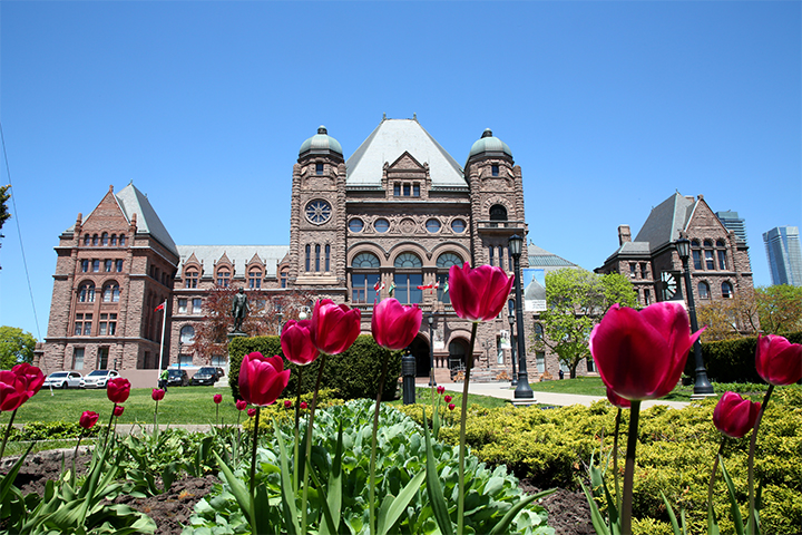 The Legislative Building pictured in the background on a sunny summer day with a garden of purple flowers in the foreground