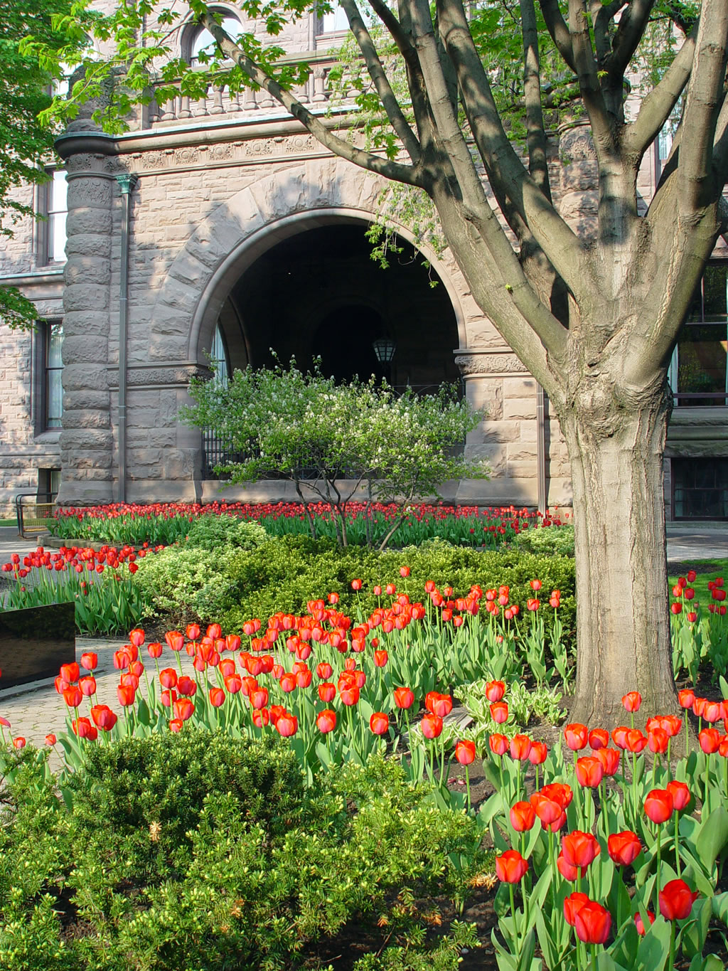 Plates-bandes de tulipes sur les terrains est de l'édifice de l'Assemblée législative.