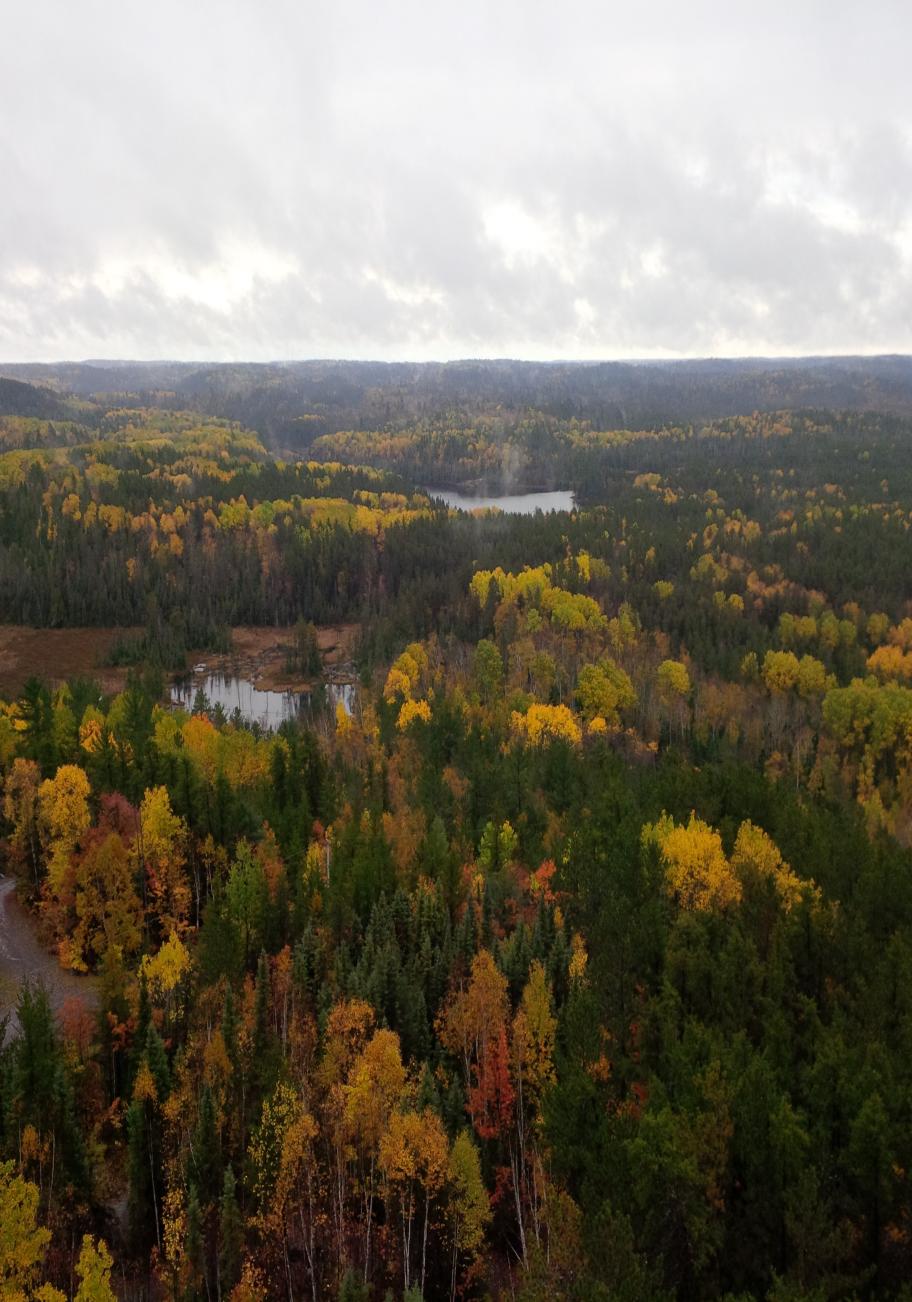 View of the Temagami Region, Ontario