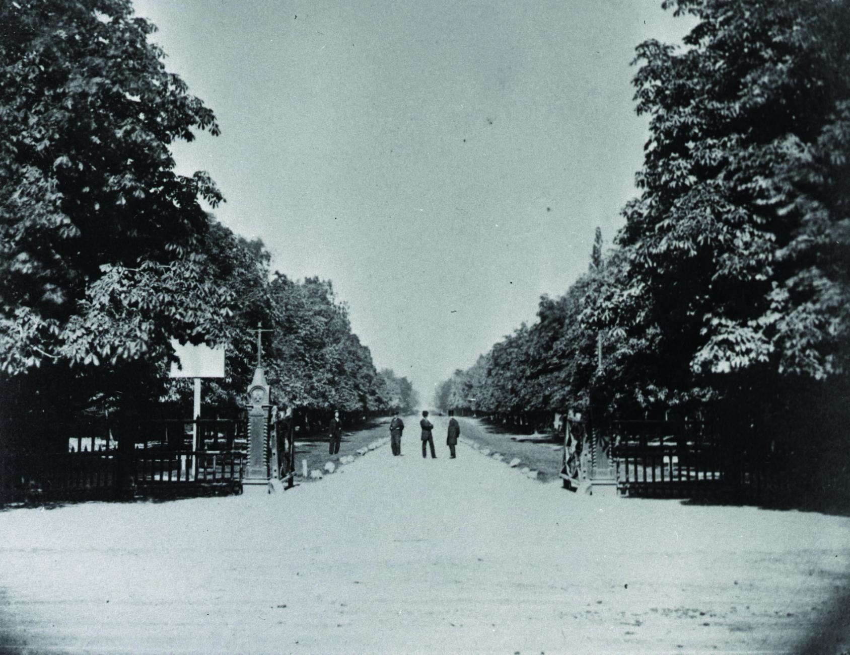 Vue sur l'avenue College (maintenant l'avenue University), Toronto, vers 1867
