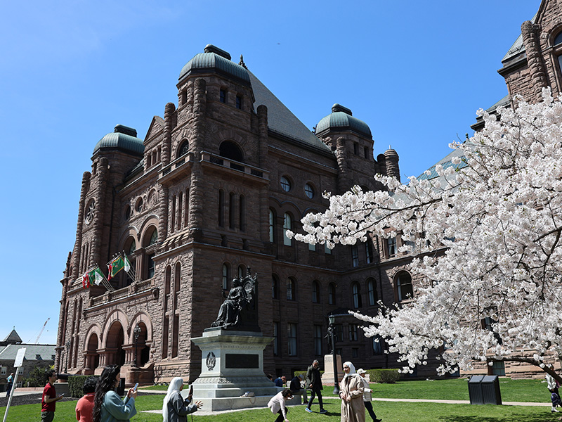 The front of the legislative building in late spring, with people gathering on the front lawn to take photos beneath the blooming cherry blossom tree.