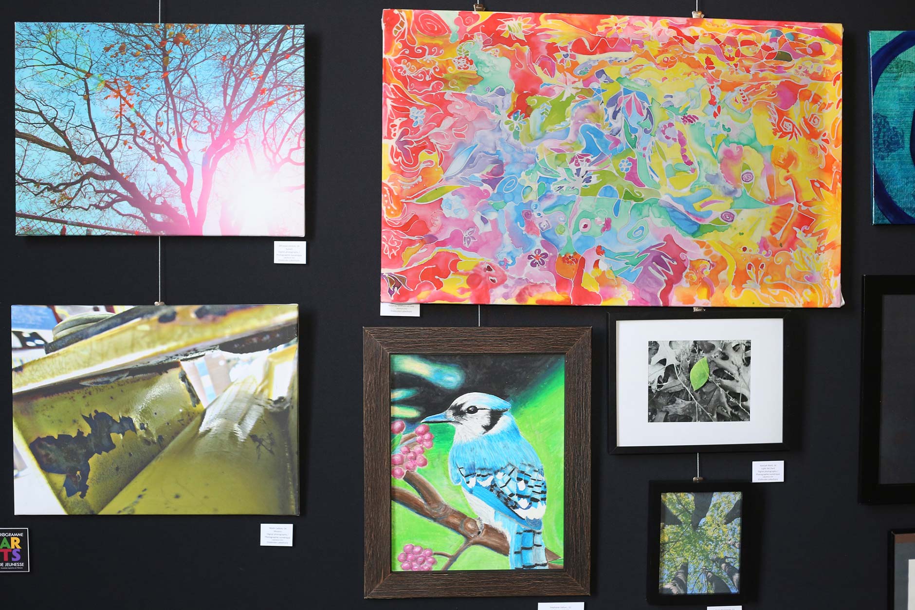 Photos créées par des participantes et participants du Programme d’arts pour les jeunes en 2015.
