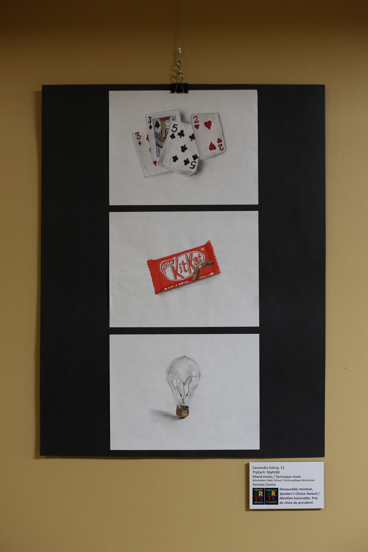 A drawing by a student artist in the 2015 Youth Arts Program.