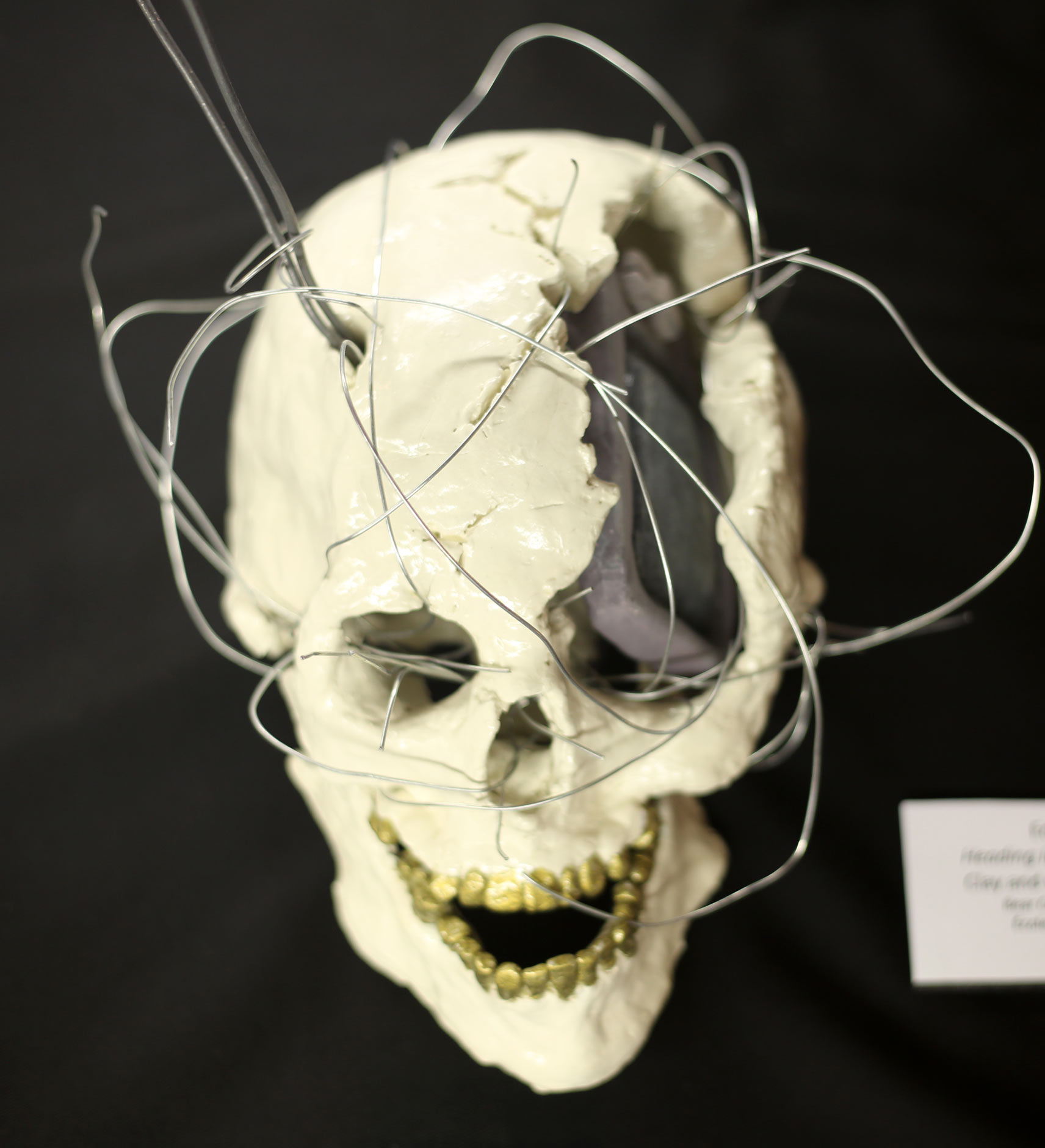 A ceramic skull and wire sculpture by a student artist in the 2015 Youth Arts Program.