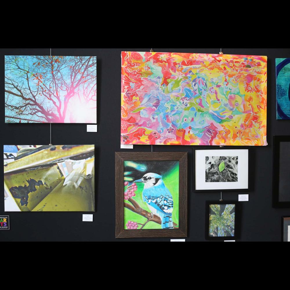 Photos créées par des participantes et participants du Programme d’arts pour les jeunes en 2015.