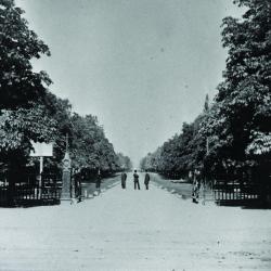 View of College Avenue, now University Avenue, Toronto, circa 1867